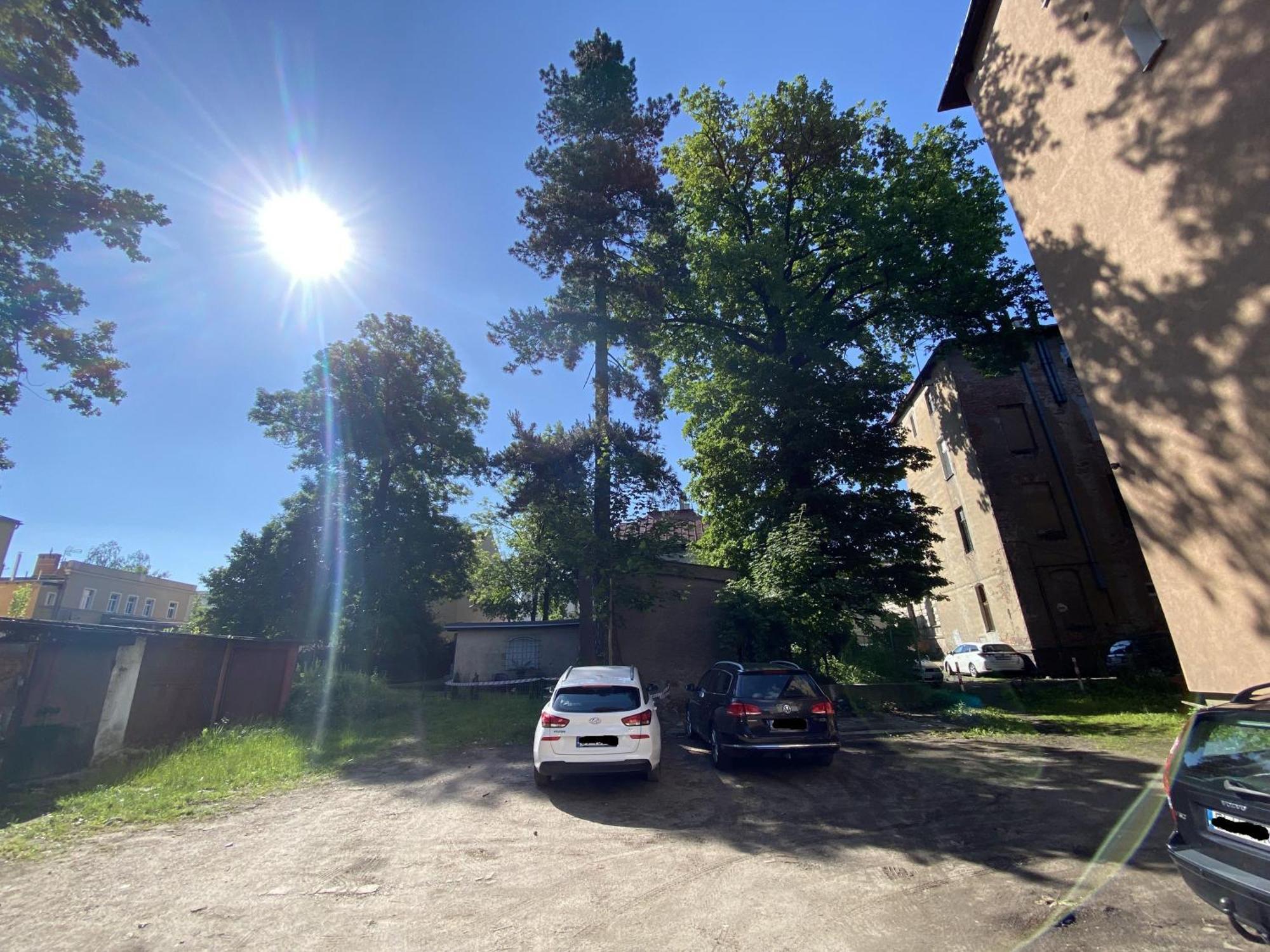 33-catsloft - Deerrest * Jelenia Gora